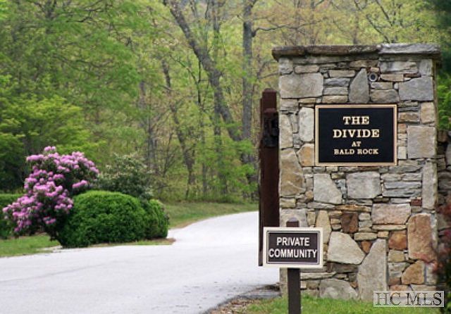 63 Speckled Feather Pass Sapphire, NC 28774  | Single Family