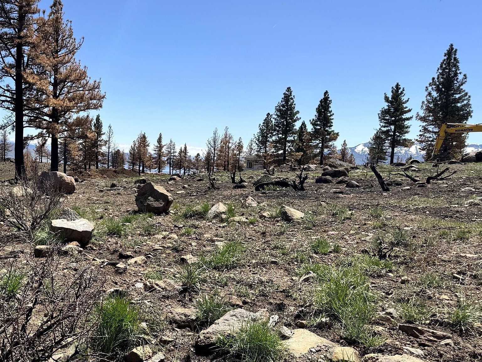 600 Sand Cherry Ct Reno, NV 89511 | Land/Lot