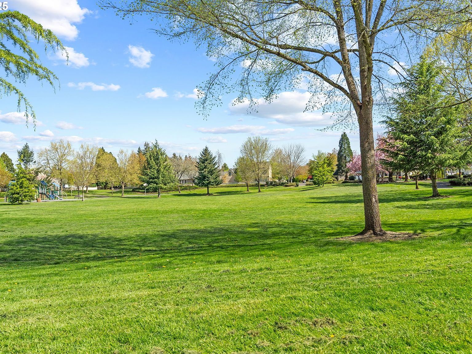 3113 SE 169th Ct Vancouver, WA 98683  | Single Family