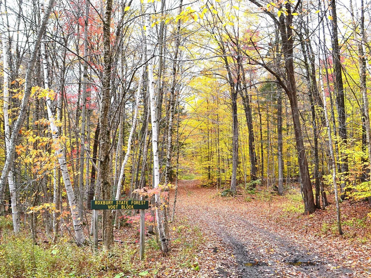 2305 W Hill Rd Roxbury, VT 05669  | Single Family