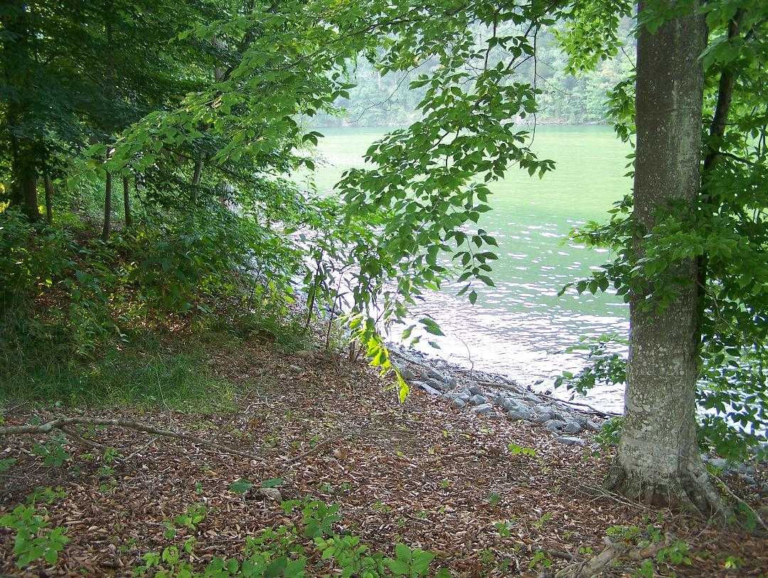 1240 Reynolds Road, Piney Flats, TN, USA, 37686 - Thumbnail 3