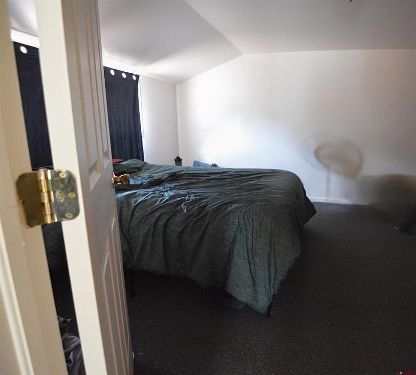 401 N Silver St Lake City, CO 81235  | Multi Family