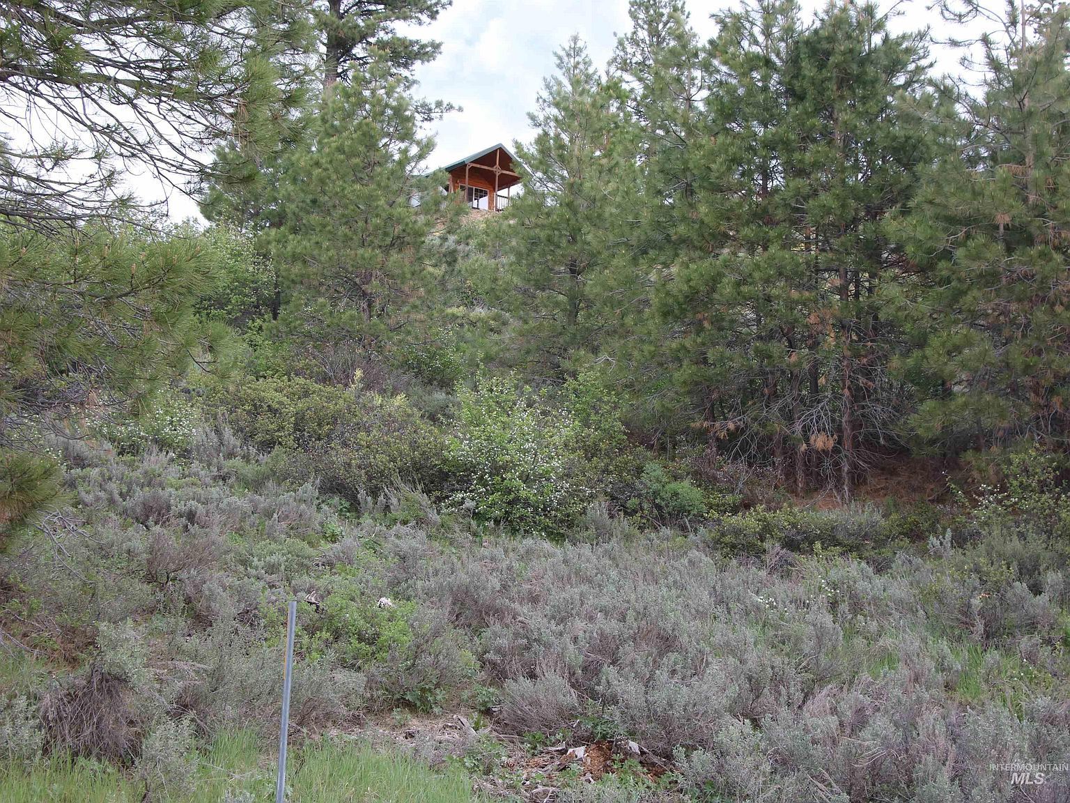 Strawberry Loop Mountain Home, ID 83647  | New build