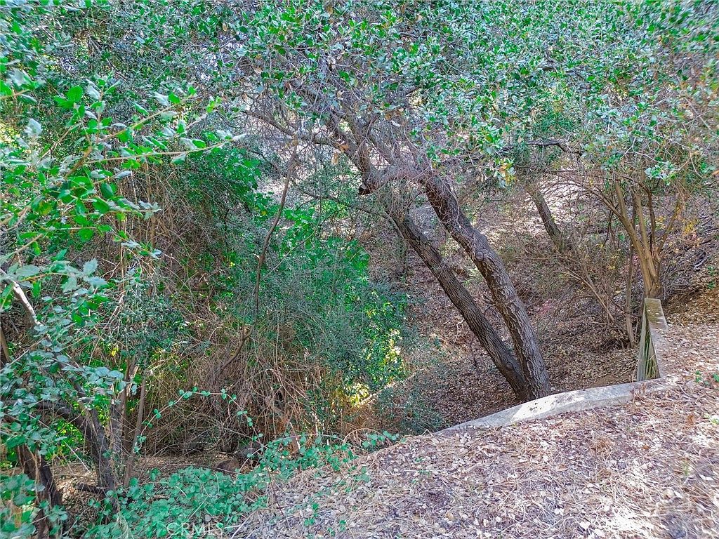 0 Live Oak Canyon Rd La Verne, CA 91750 | Land/Lot