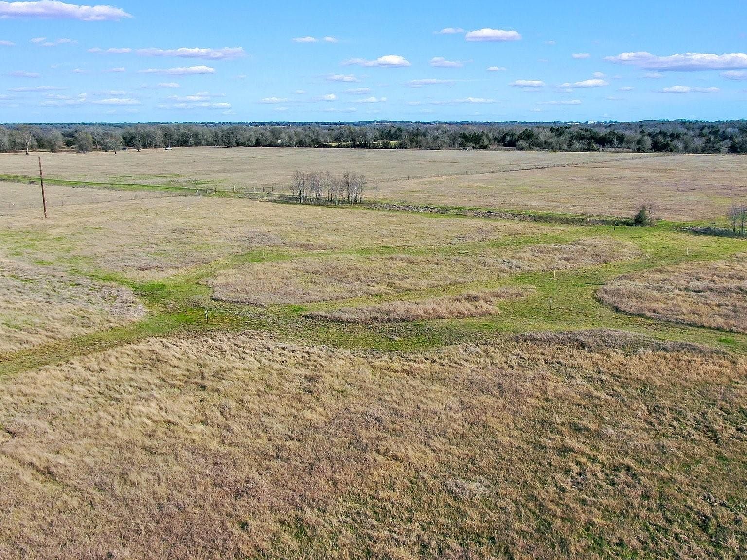 County Road 318 Caldwell, TX 77836  | Land/Lot