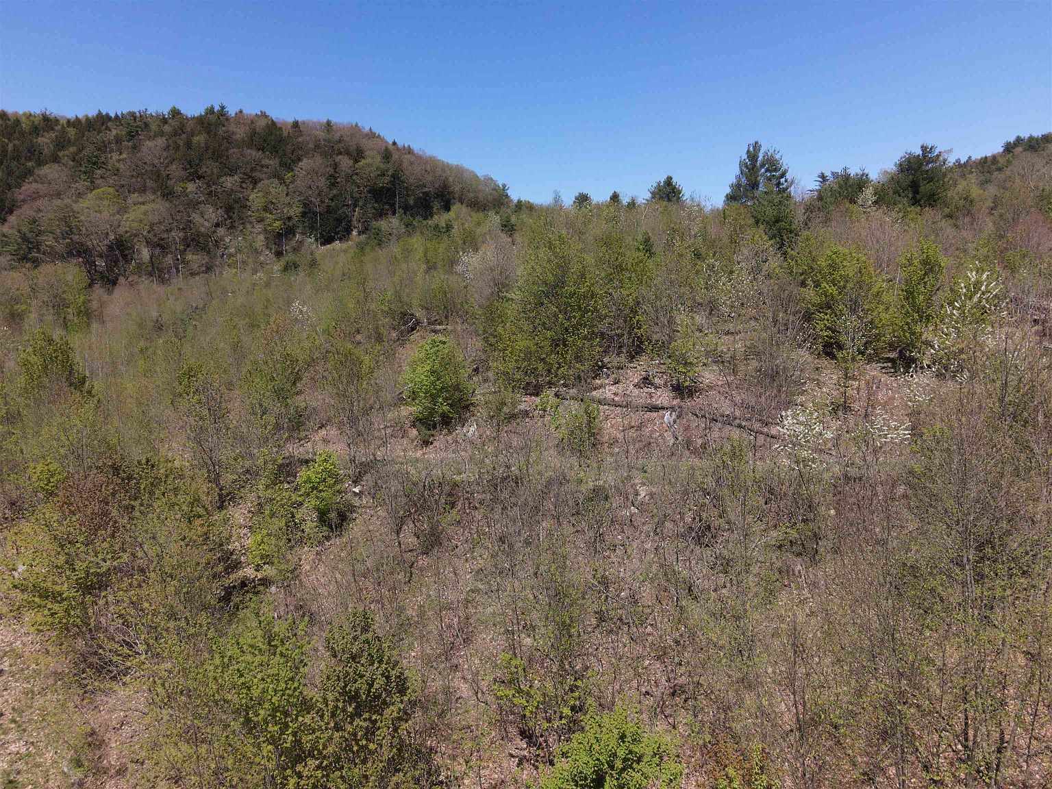 0 Green Mountain Tpke Chester, VT 05143  | Land/Lot