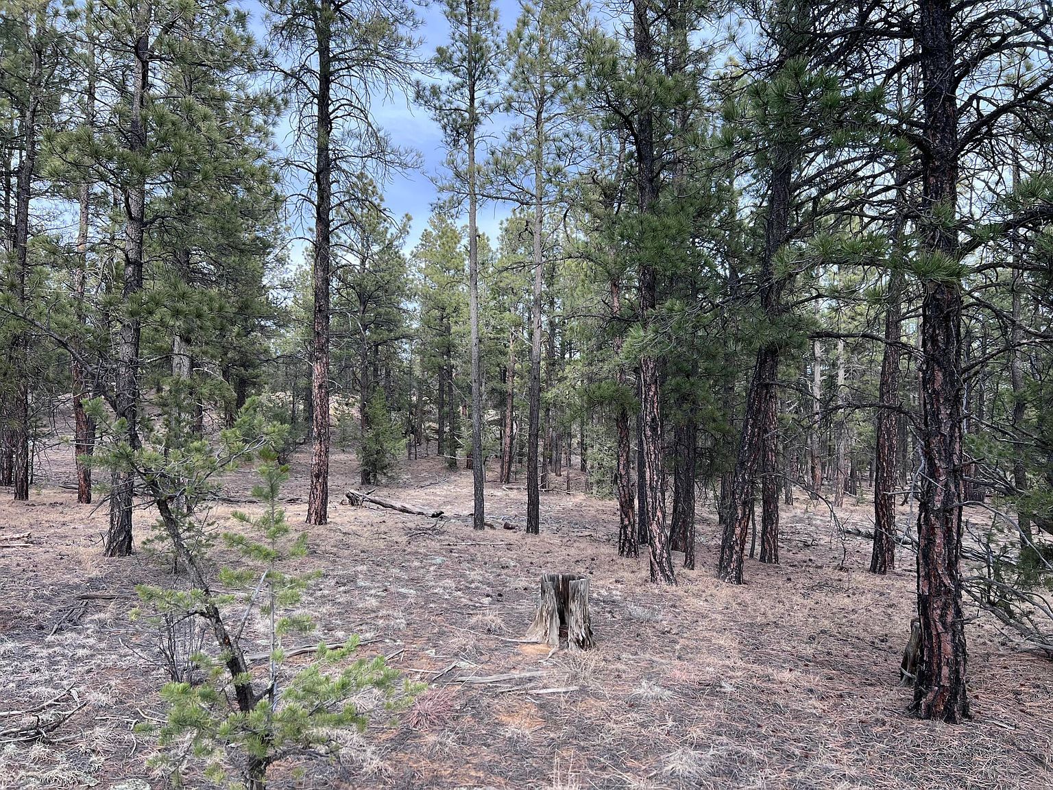 19985 Blue Jay Ln #115 Weston, CO 81091 | Land/Lot