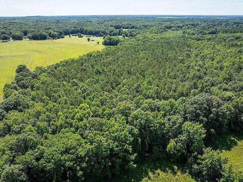 0 Deep Gap Rd Jackson, TN 38301  | Land/Lot