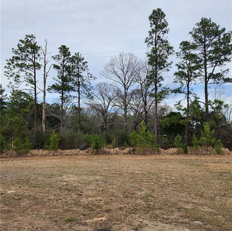 10359 Gulfcrest Rd Chunchula, AL 36521  | New build