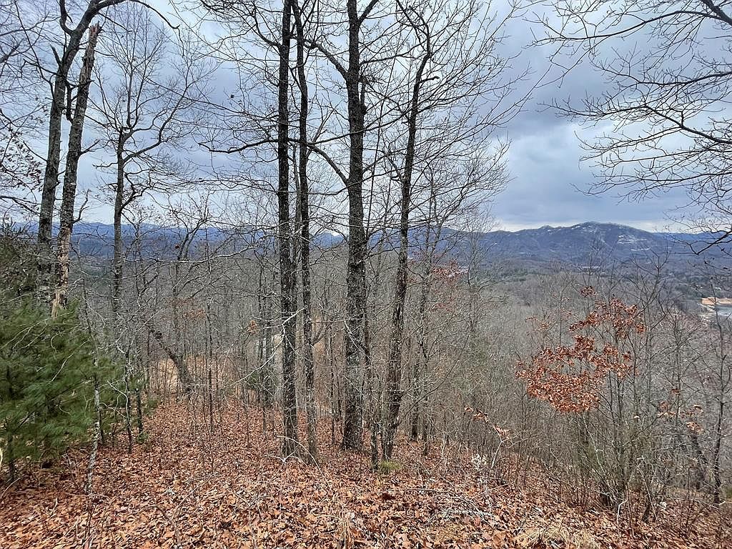 100 Ridge View Dr #11 Bryson City, NC 28713  | Land/Lot