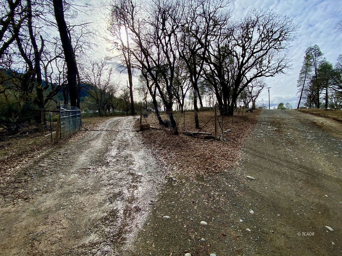 297 Frog Pond Ln Hayfork, CA 96041  | Land/Lot