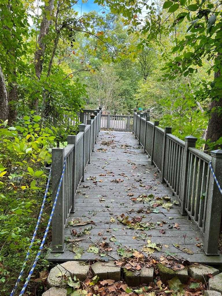 29 Briarwood Terrace lot b, Bracey, VA, USA, 23919 | Land/Lot