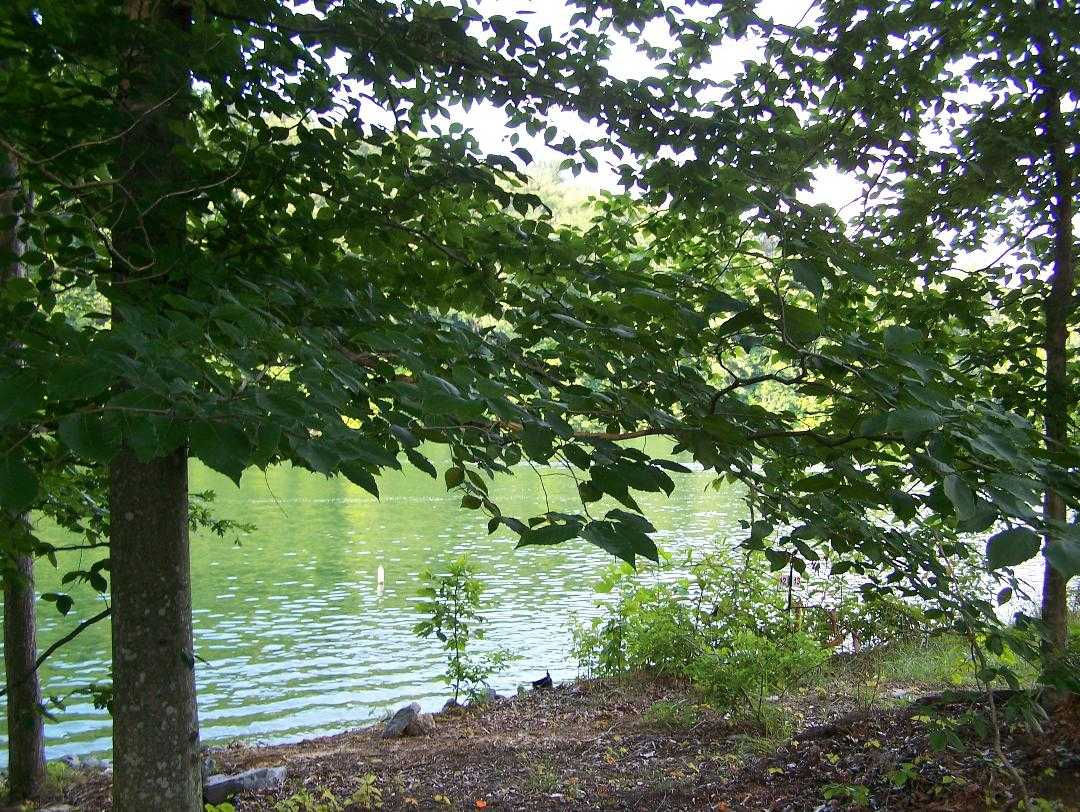 1240 Reynolds Road, Piney Flats, TN, USA, 37686 - Thumbnail 4