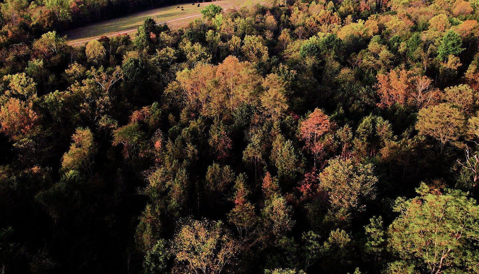 0 W 42nd Hwy, Bedford, KY, 40006  | Land/Lot