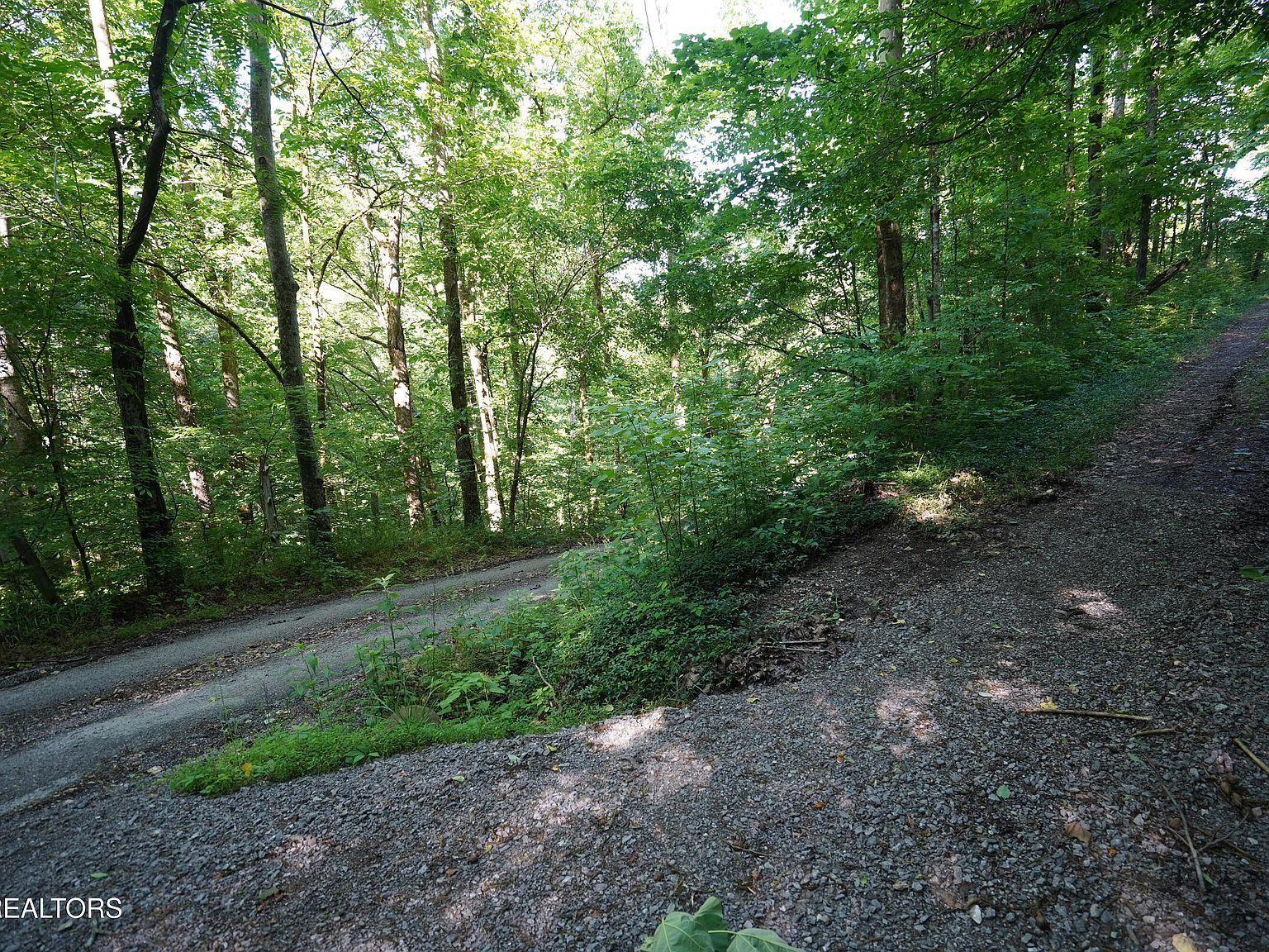 Holiday Haven Rd, Smithville, TN, 37166  | Land/Lot