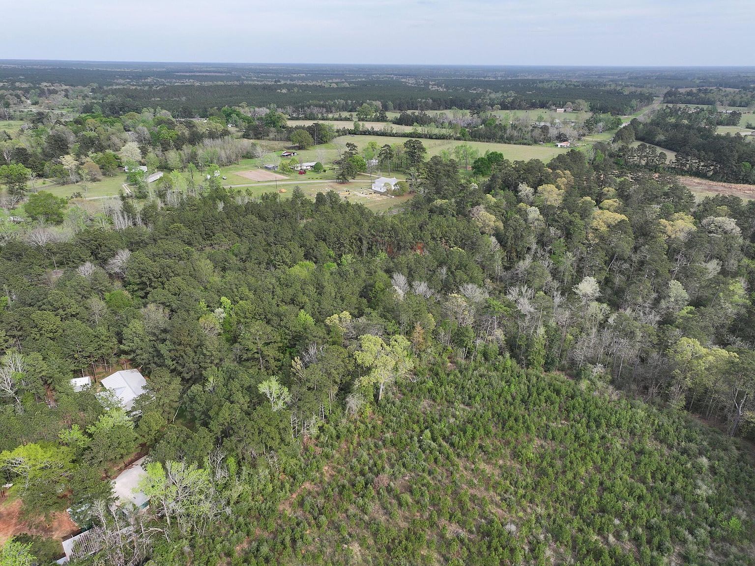 0 Fm 252 Est Jasper, TX 75951  | Land/Lot
