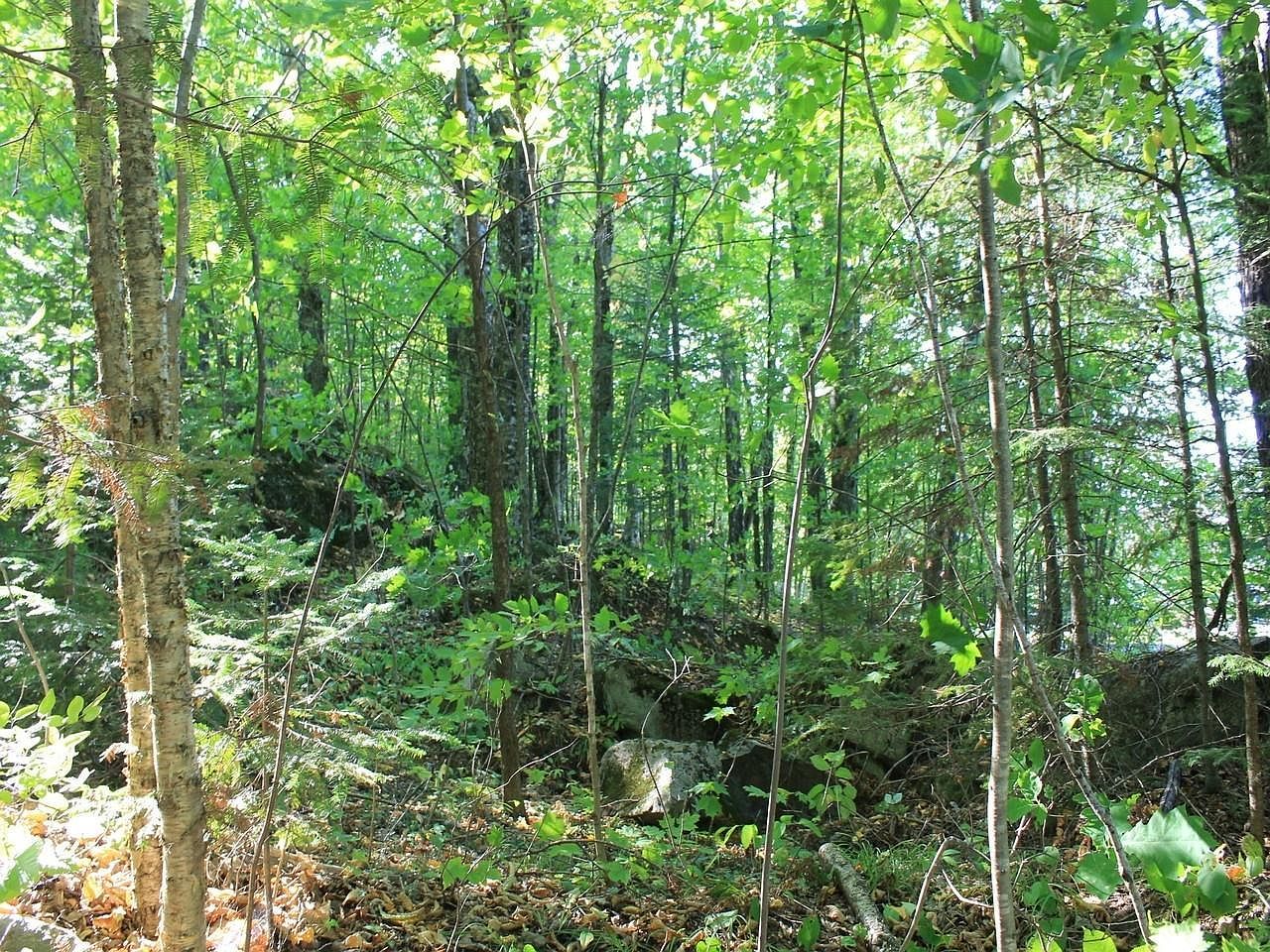 LOT 35 Alpine Dr Upson, WI 54565  | Land/Lot