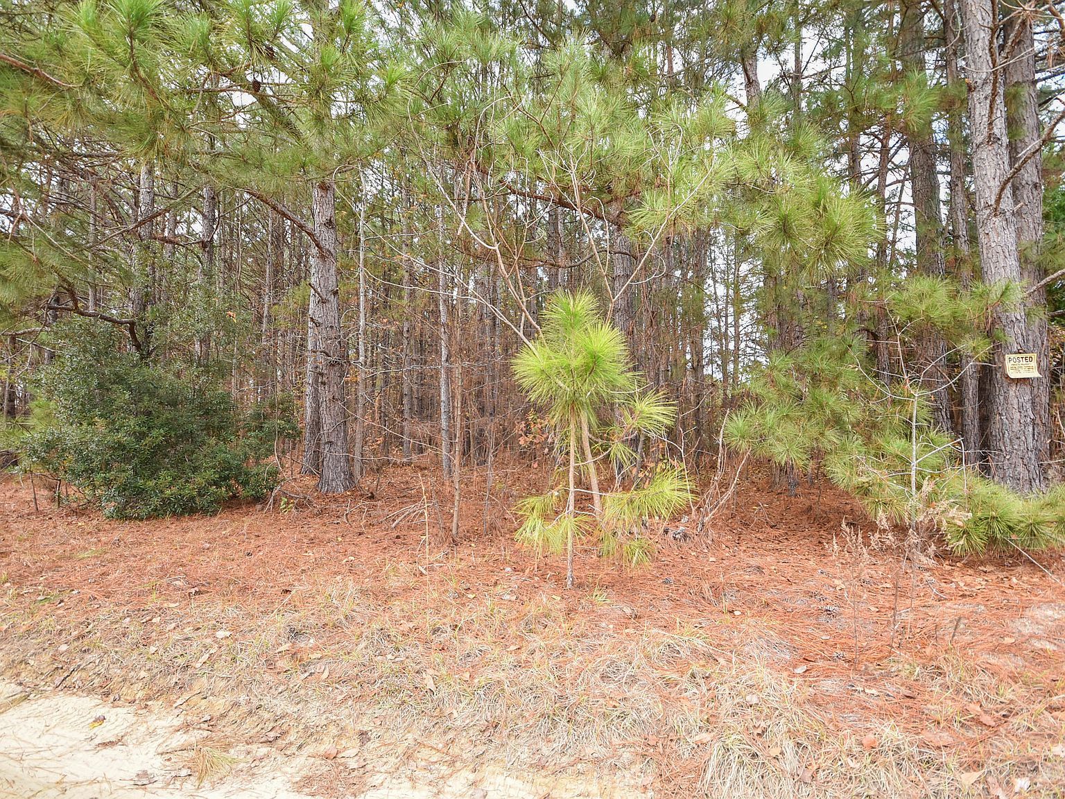 3 Bob Lee Ln LOT 3 Dunn, NC 28334 | Land/Lot