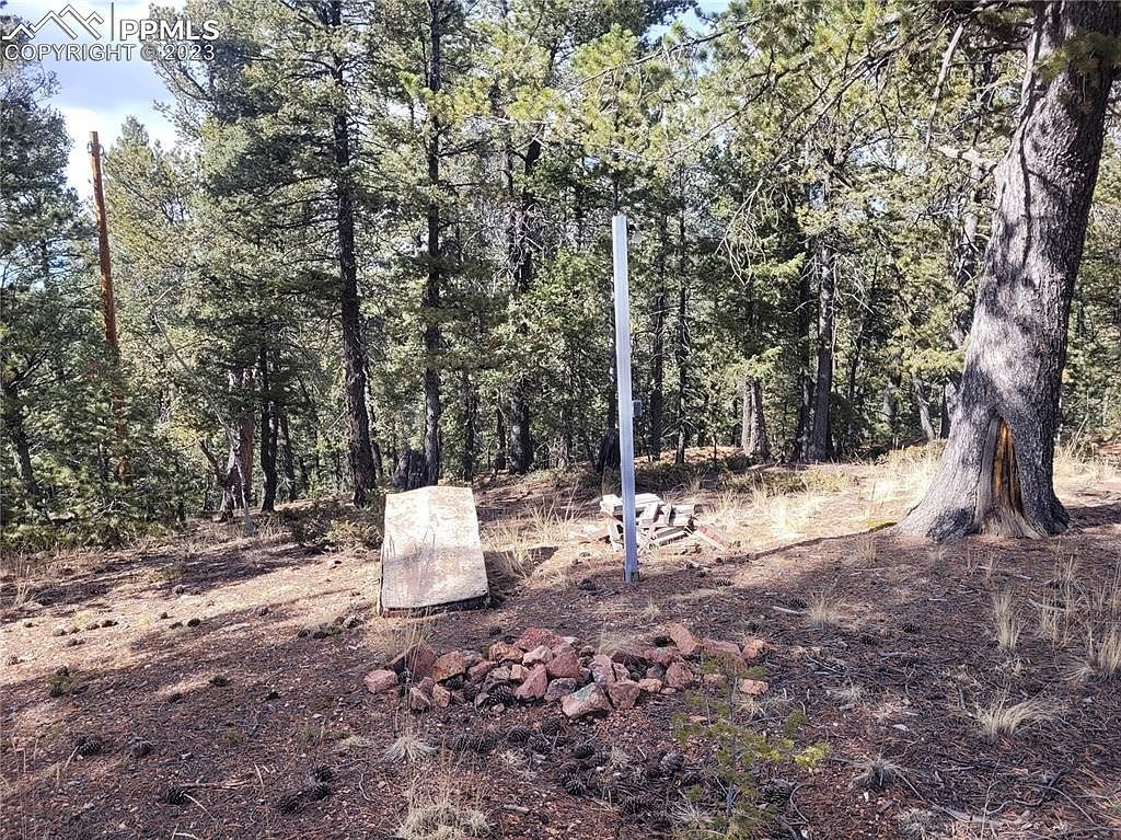 329 Paradiso Rd Divide, CO 80814 | Land/Lot