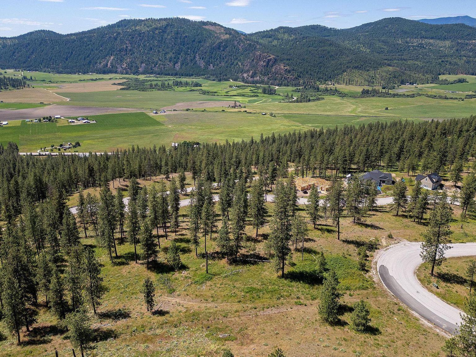 1612 Palmer Loop Chewelah, WA 99109  | Land/Lot