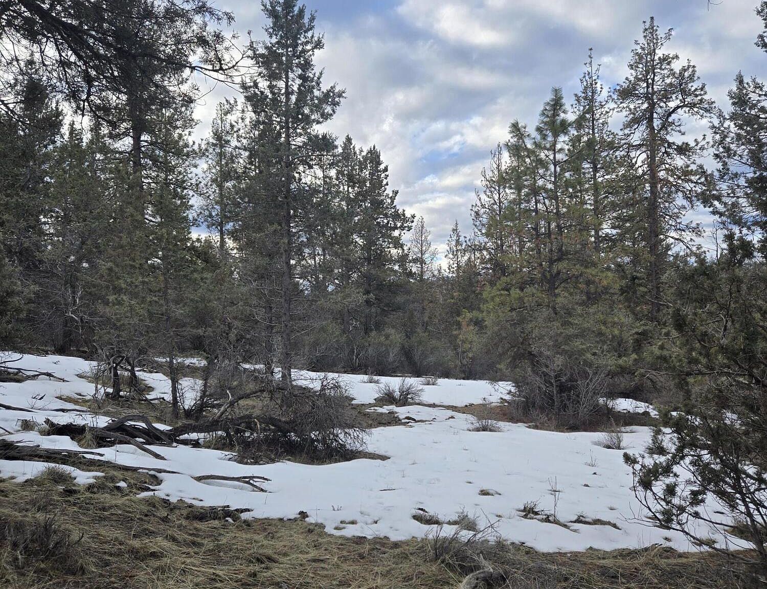 Jaguar Ln LOT 7 & 8 Bonanza, OR 97623  | Land/Lot