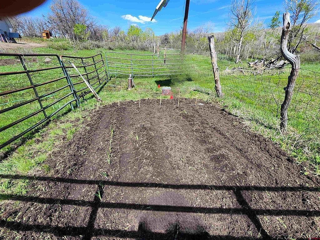 25859 Horse Creek Dr Cedaredge, CO 81413  | Land/Lot