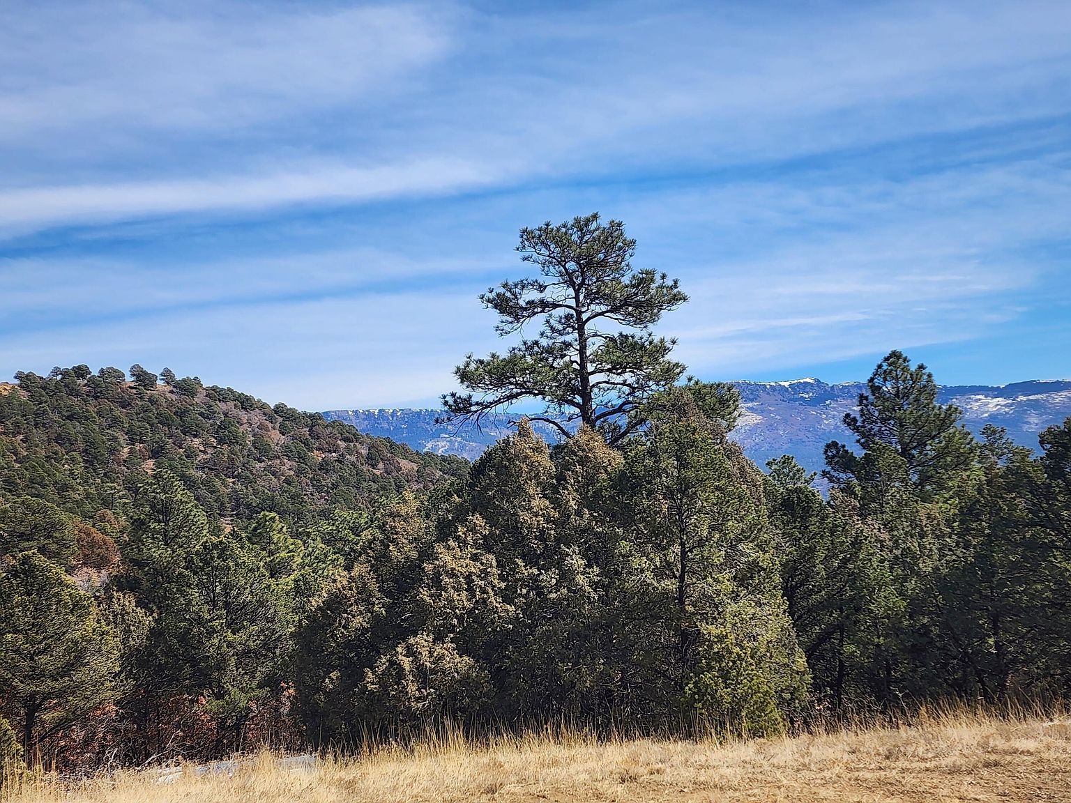 33066 Westwood Dr Trinidad, CO 81082  | Land/Lot