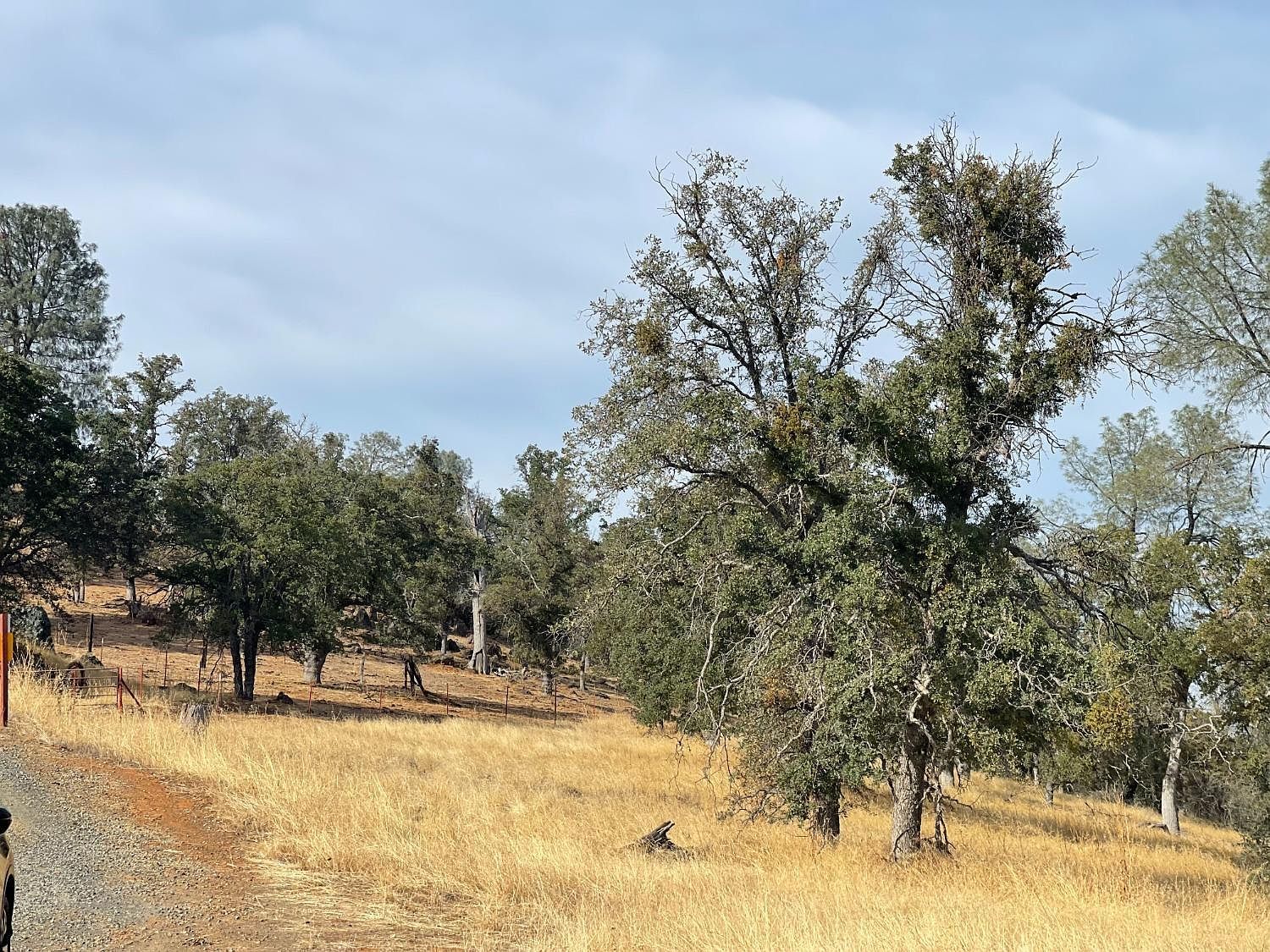 10090 Arbolada Dr La Grange, CA 95329  | Land/Lot