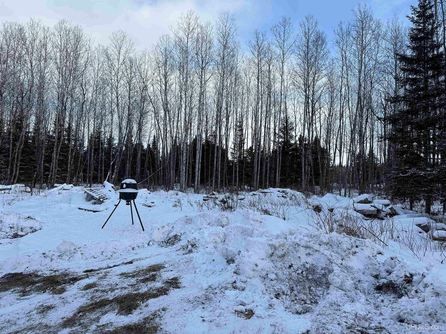 243 Parks Farm Rd Crystal Falls, MI 49920  | Single Family