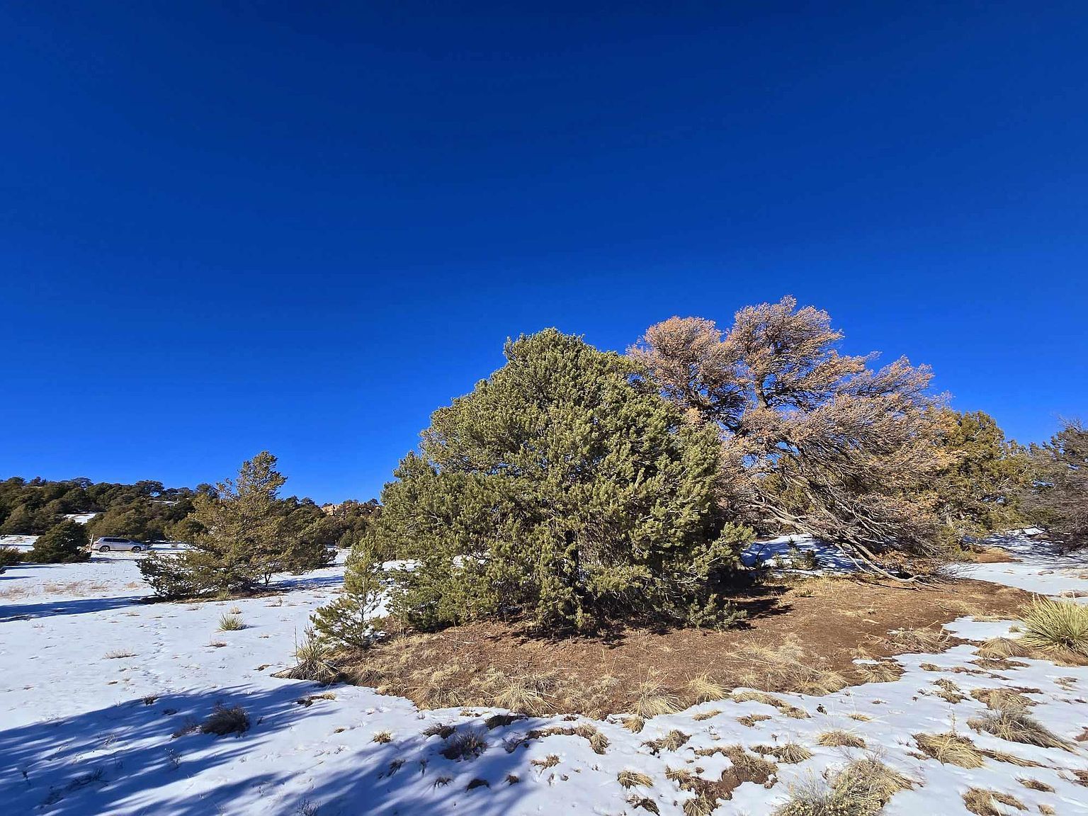 16 Navajo Rd Walsenburg, CO 81089  | Land/Lot