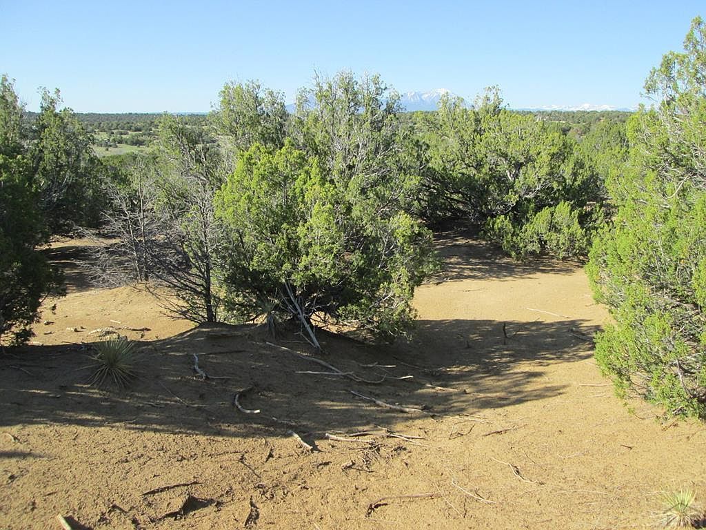 605 Rio Cucharas Walsenburg, CO 81089  | Land/Lot