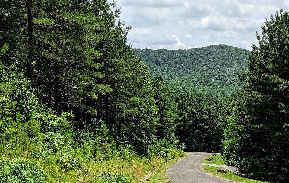 LOT 6 Black Bear Ridge Rd Ellijay, GA 30536 | Land/Lot