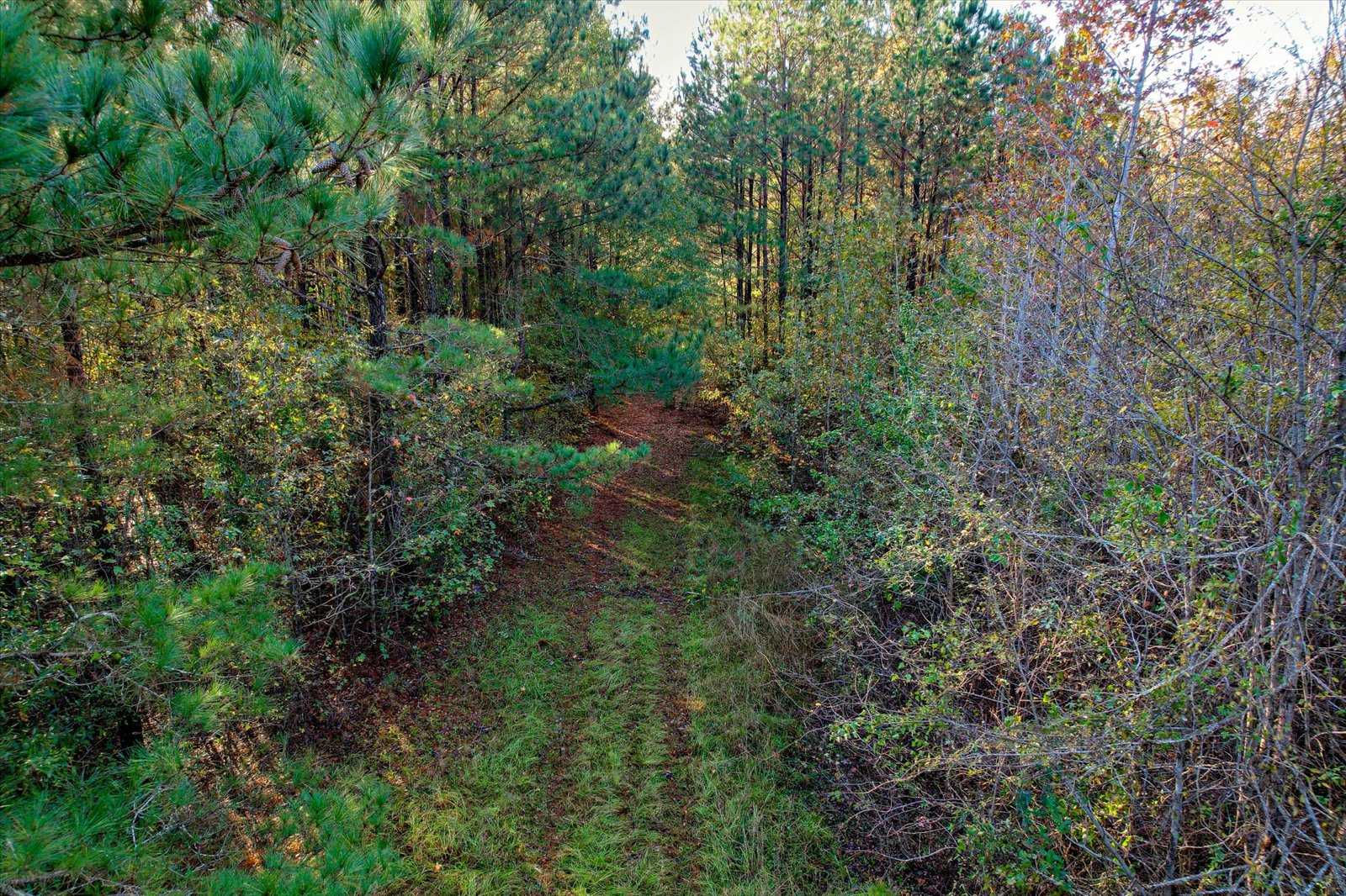 414 Calloway Road Extension, Evans, GA, USA, 30809  | Land/Lot
