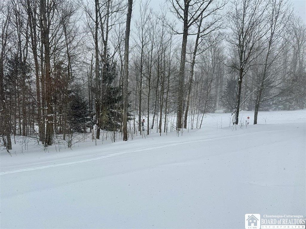 8270 Canterbury Dr #8270 Clymer, NY 14724 | New build