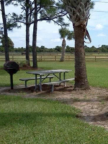 305 Fawn Trail St Palm Bay, FL 32909  | Land/Lot