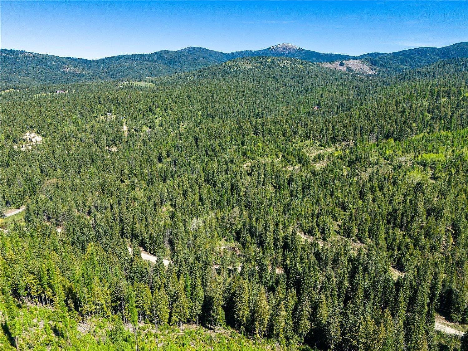 18 E Wallis Rd Mead, WA 99021  | Land/Lot