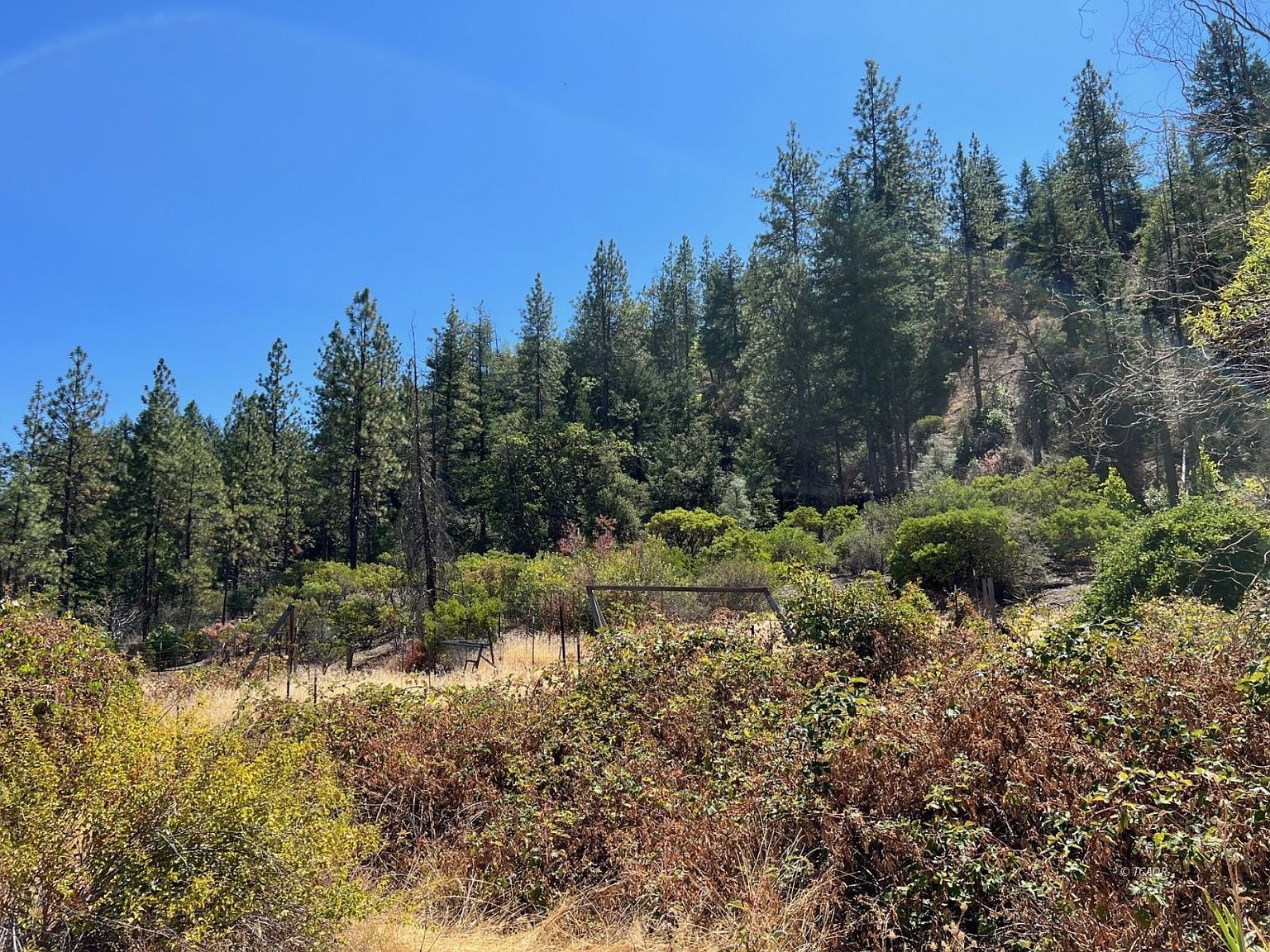1271 Lake Rd Junction City, CA 96048  | Land/Lot