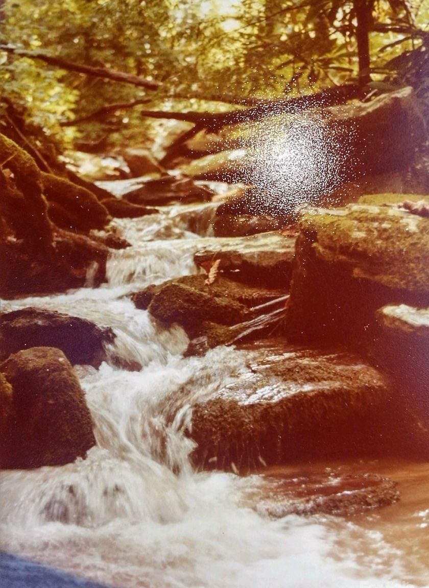 0 Bird Creek Estates Rd Black Mountain, NC 28711 | Land/Lot