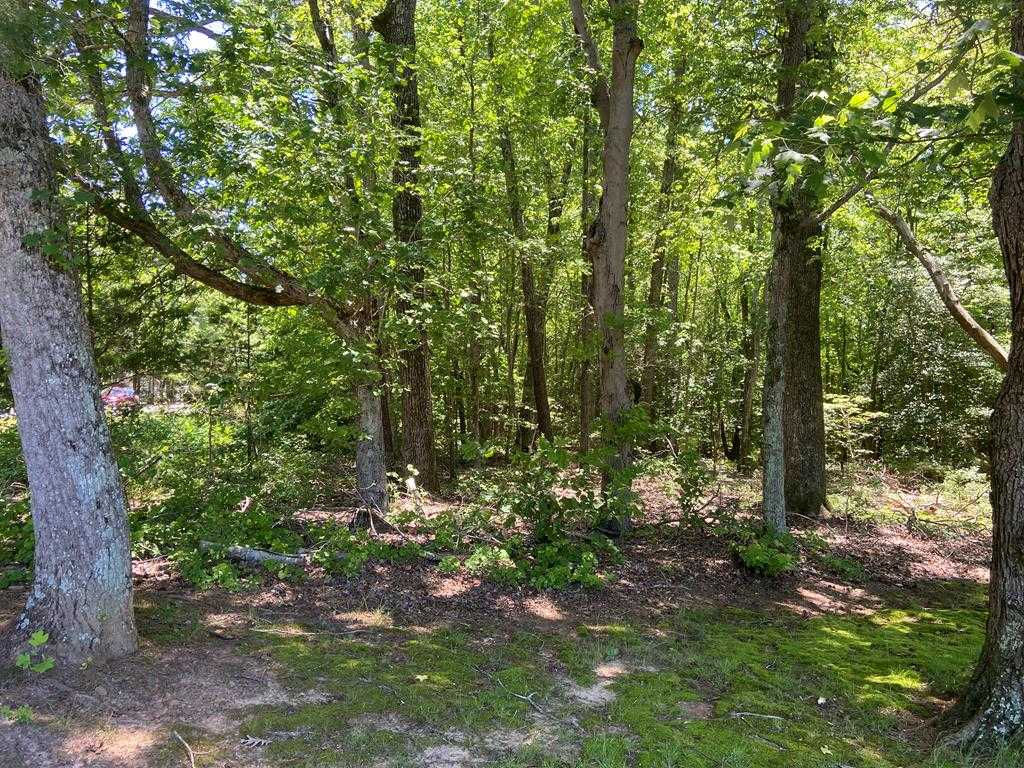 Lot 22-E Highway Nine-O-Three, Bracey, VA, 23919  | Land/Lot
