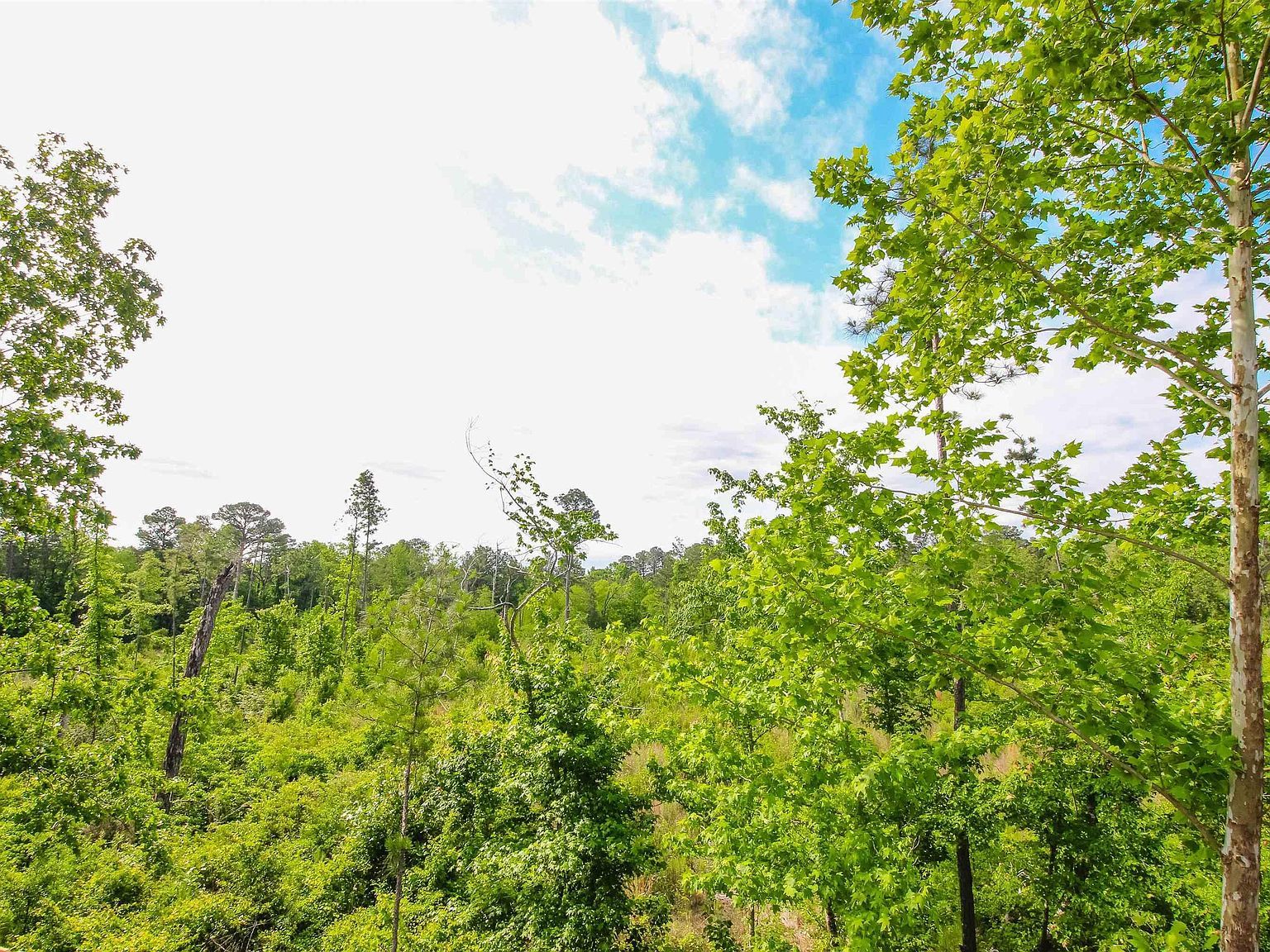 5878 Palo Pinto Dr Tyler, TX 75707  | Single Family