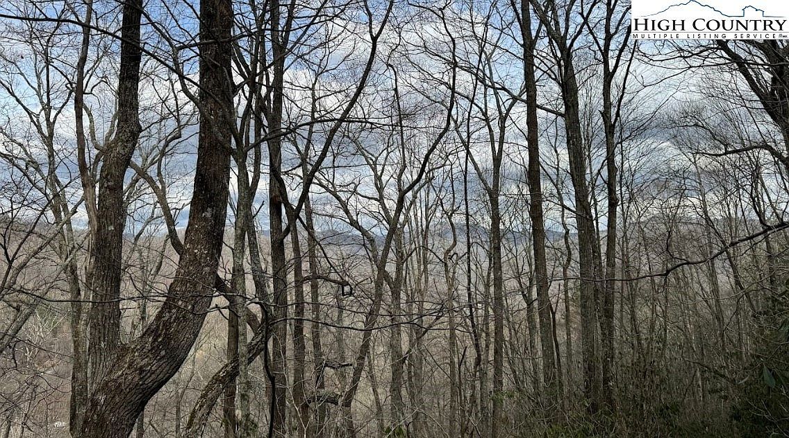 82/ACRE Doublehead Mountain Rd Newland, NC 28657  | Land/Lot