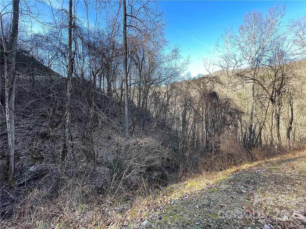 LOT 38 Brush Creek Mountain Rd Bryson City, NC 28713  | Land/Lot