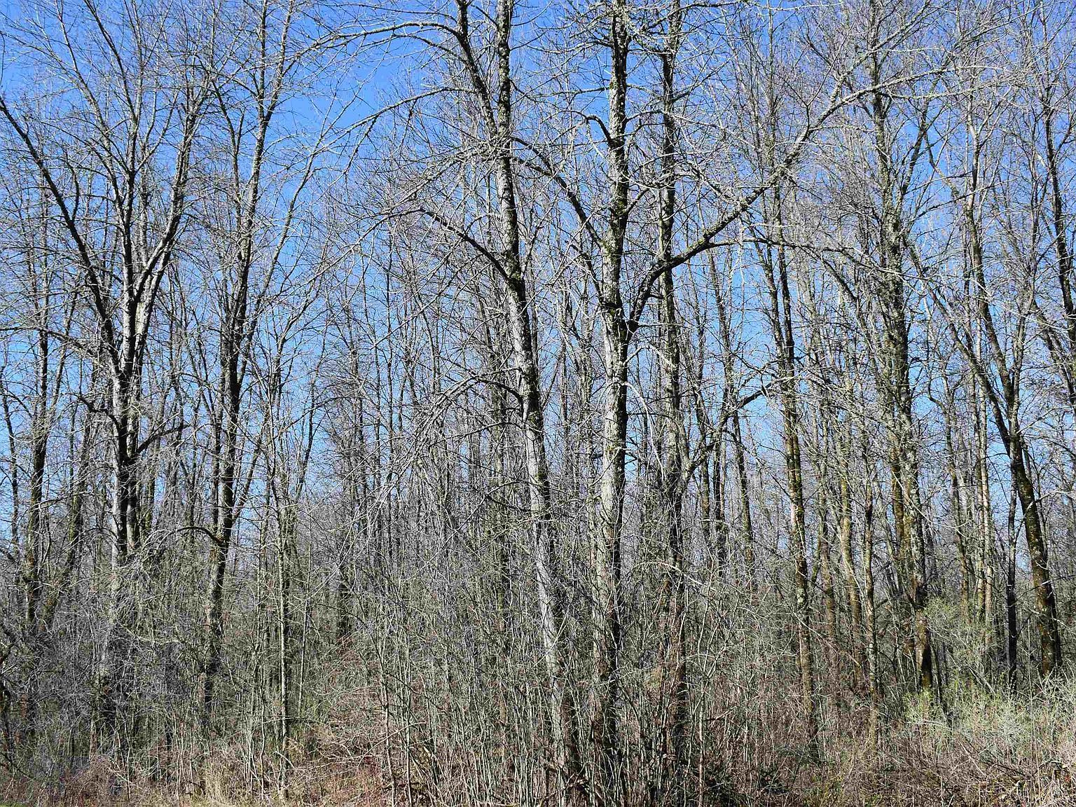 10XX W Bigelow St Washburn, WI 54891  | Land/Lot
