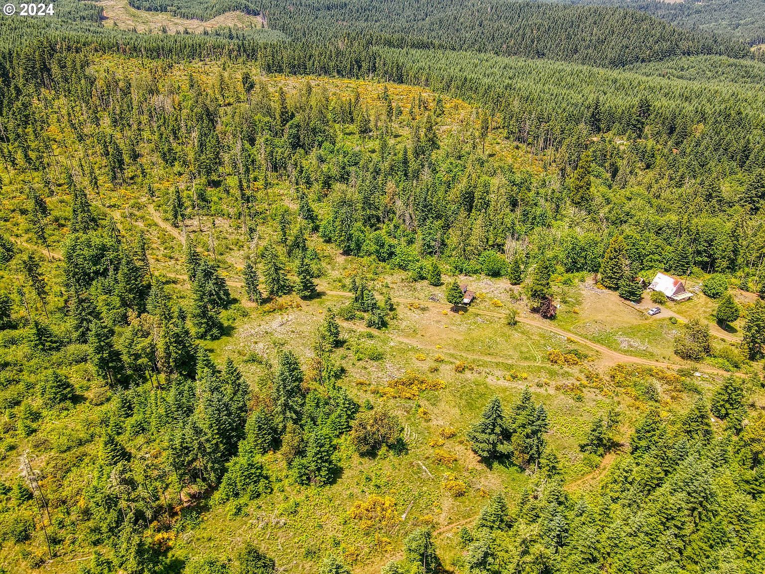 0 Cedar Creek Rd Cottage Grove, OR 97424  | Land/Lot