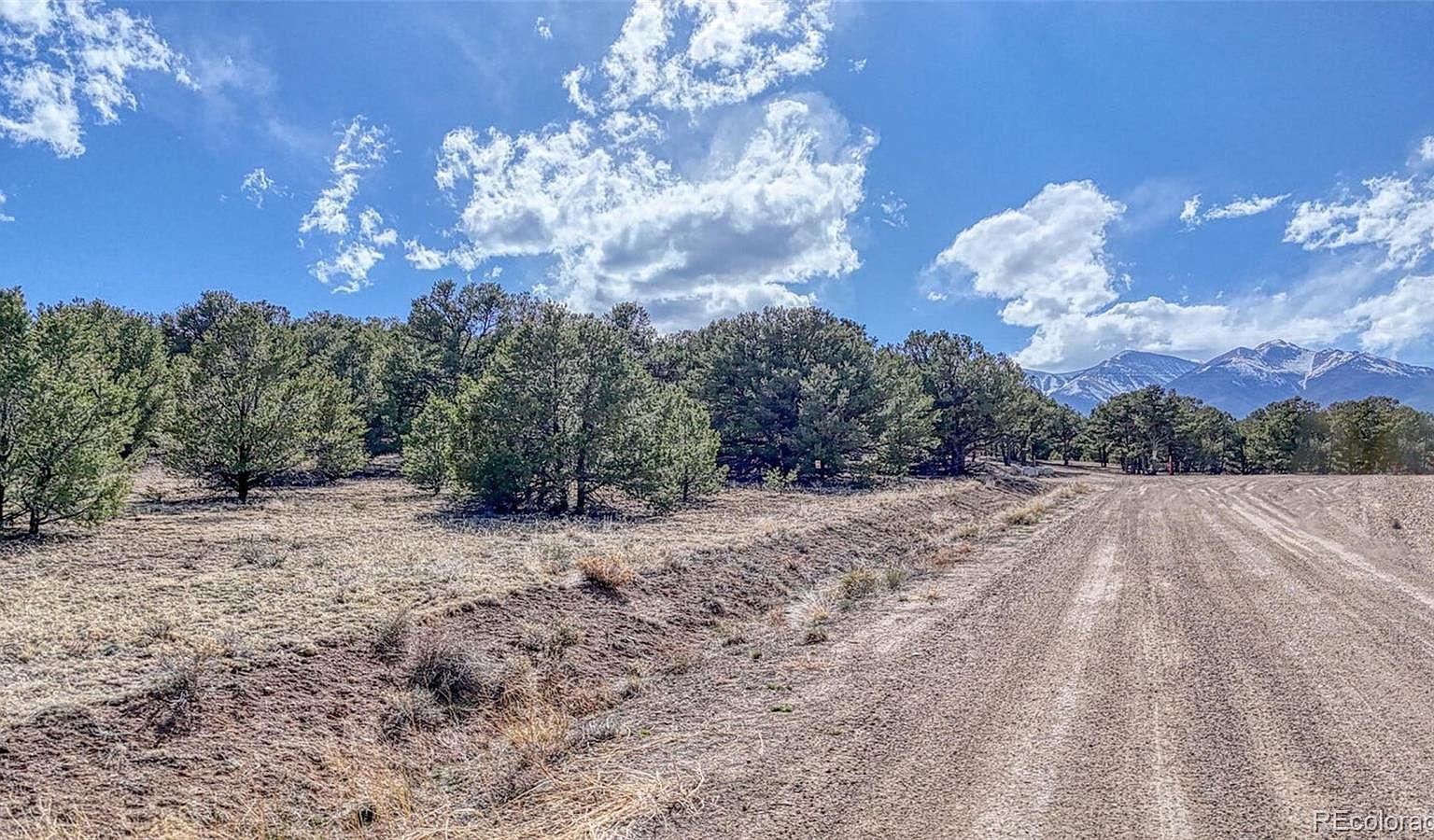 10767 Sawatch Range Rd Salida, CO 81201  | Land/Lot