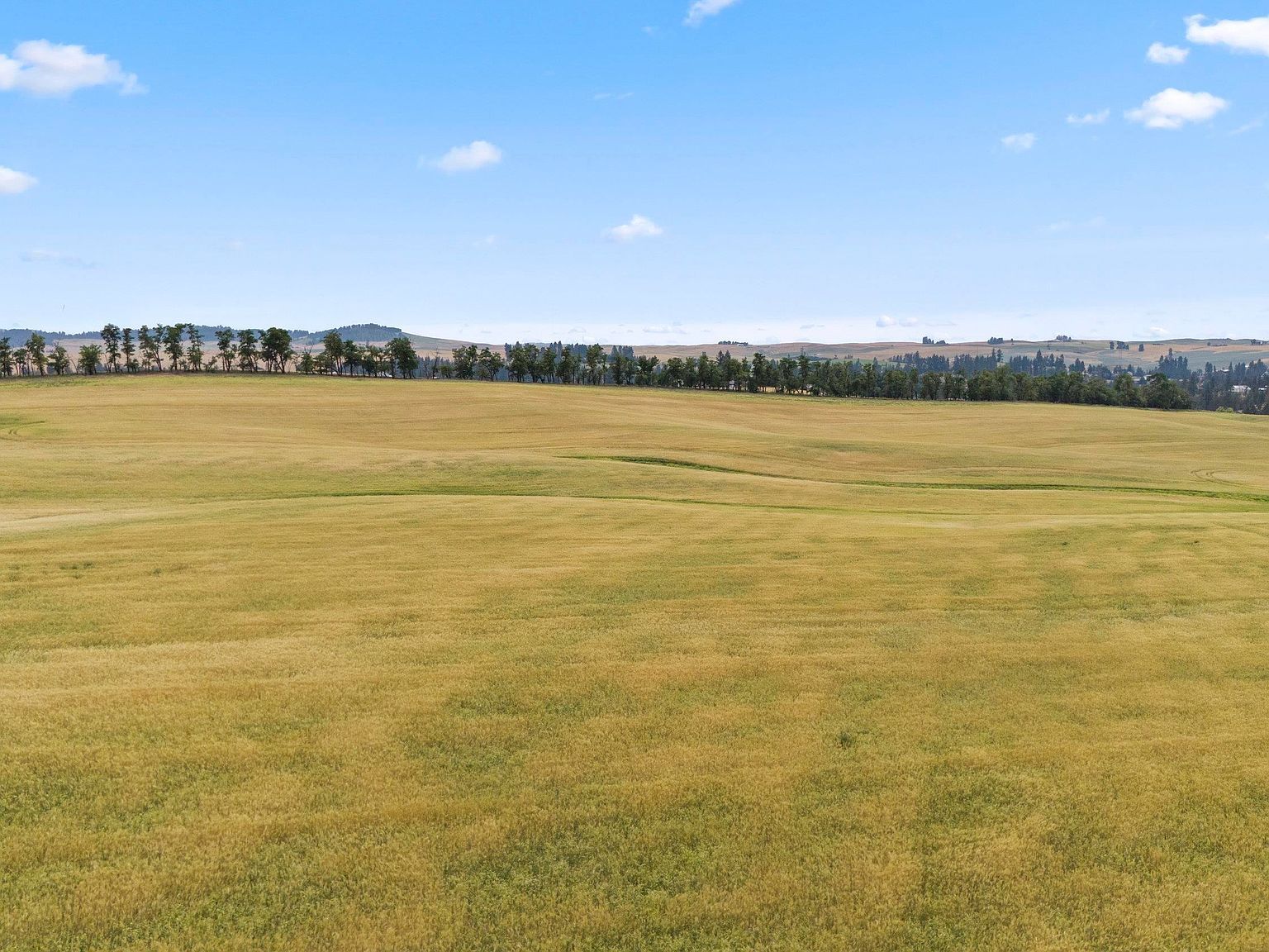 0 E Toll Rd Rockford, WA 99030  | Land/Lot