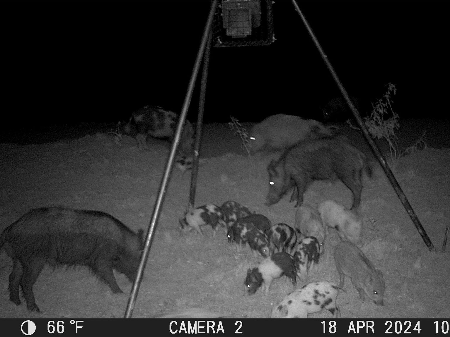 Tbd Cres #120 Brownwood, TX 76801 | Land/Lot