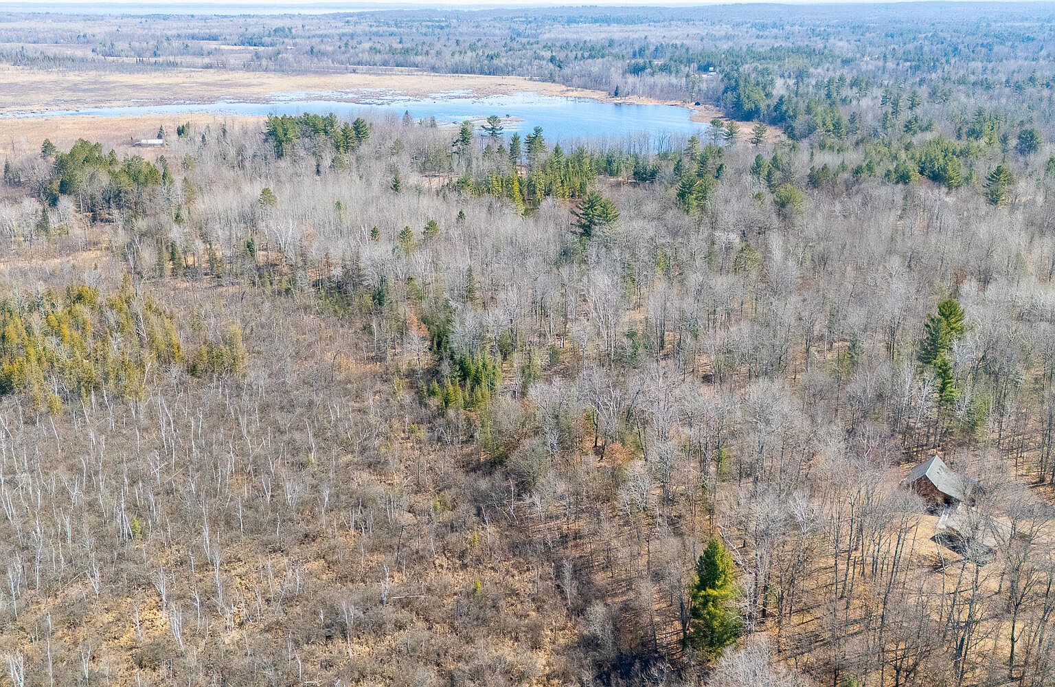 10090 Snowbowl Rd Houghton Lake, MI 48629  | Single Family