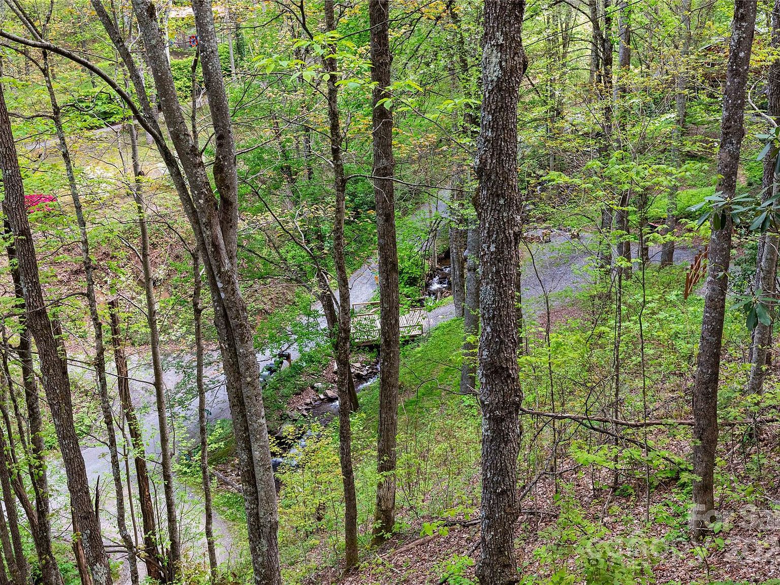 59 Lost Cv Waynesville, NC 28785  | Single Family