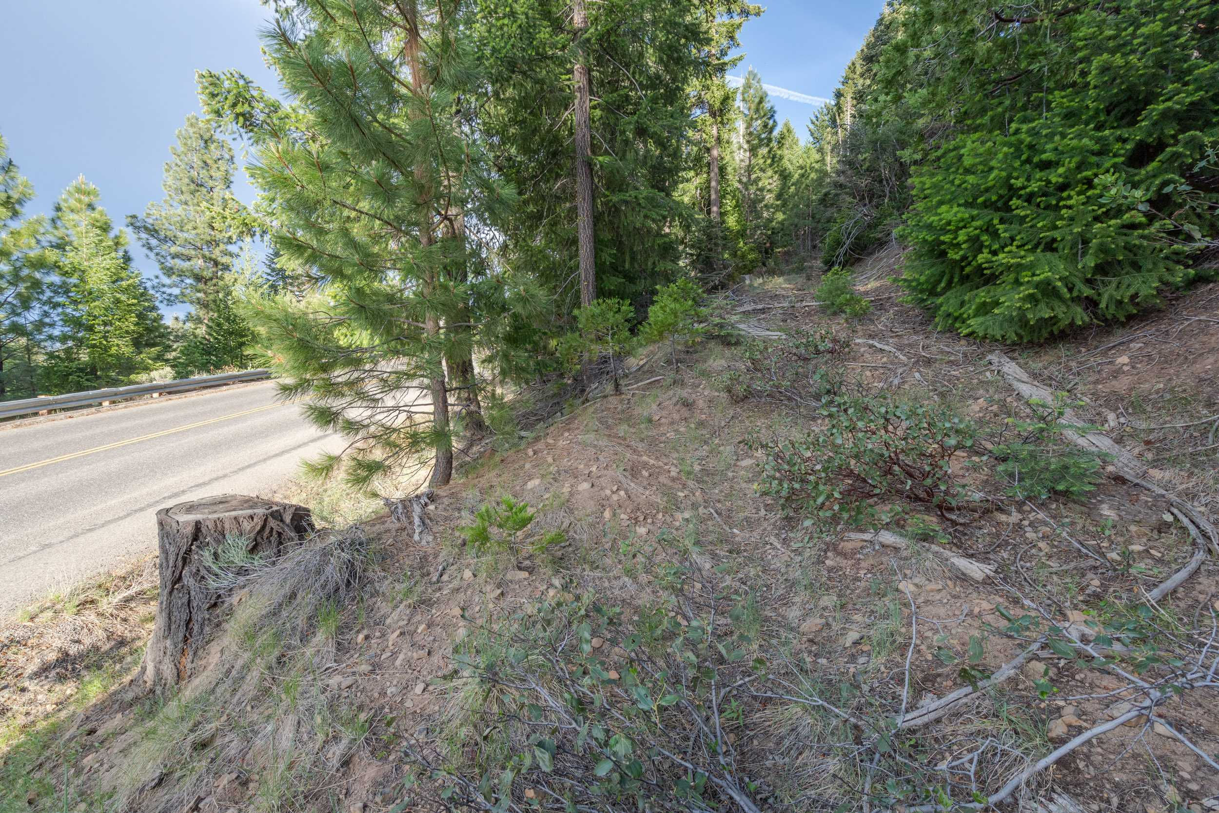 Janesville Grade, Janesville, CA, USA, 96114 | Land/Lot